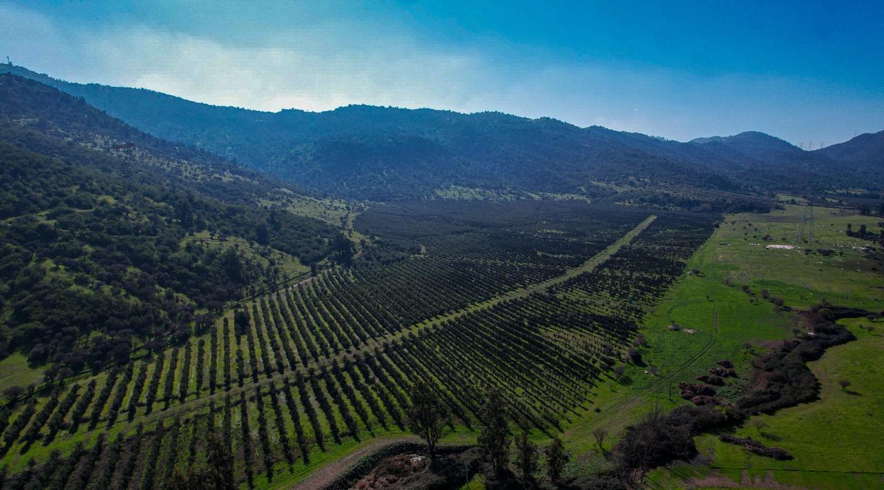 Terrazas de cultivo en las montañas
