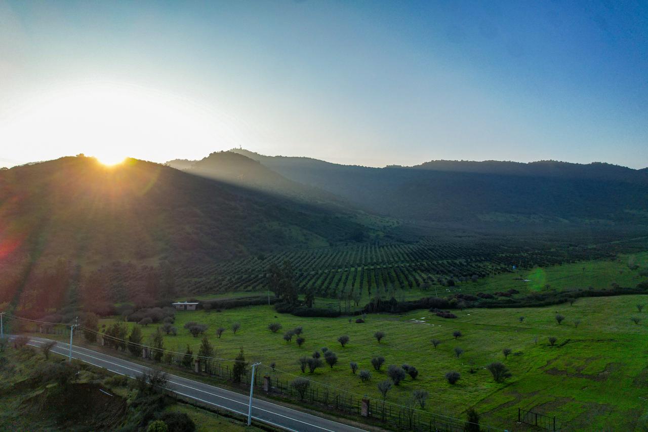 Atardecer dorado en el valle